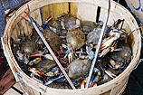 Chinatown seafood Chinatown seafood