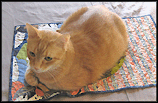 Fu: 1994?-29 Oct 2011 Fu: 1994?-29 Oct 2011