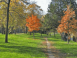 Lake Calhoun 1 Lake Calhoun 1.gif