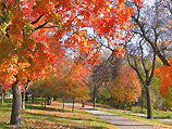 Minnehaha Creek Trail 4 Minnehaha Creek Trail 4
