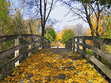 Minnehaha Creek Trail 7 Minnehaha Creek Trail 7